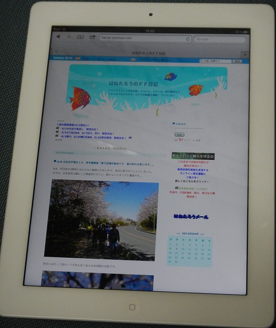 hane0410a.jpg