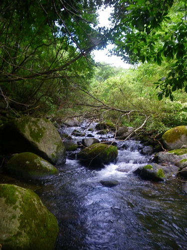 ishido0829a.jpg