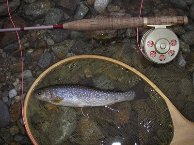 mizunashi0529.jpg