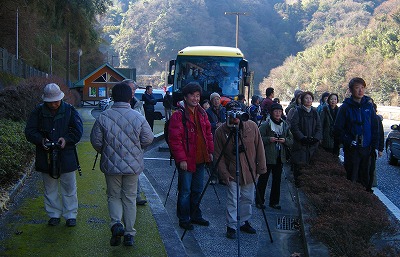 tan0130a.jpg