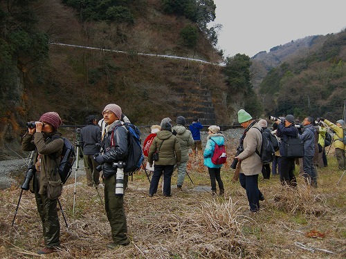 yama0115a.jpg