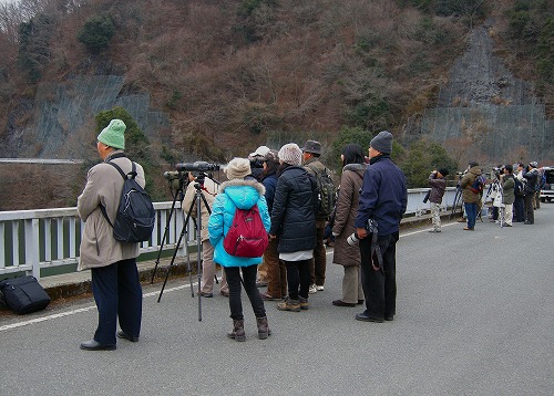 yama0115b.jpg