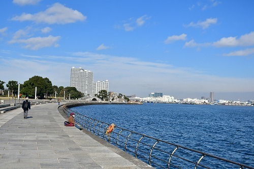 DSC_0500.jpg