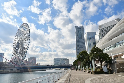 DSC_0516.jpg