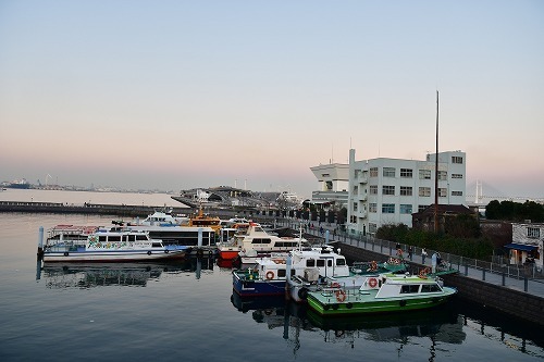 DSC_0535.jpg