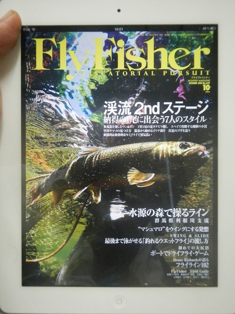 FF10a.jpg