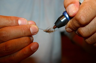 IMG_1296.jpg