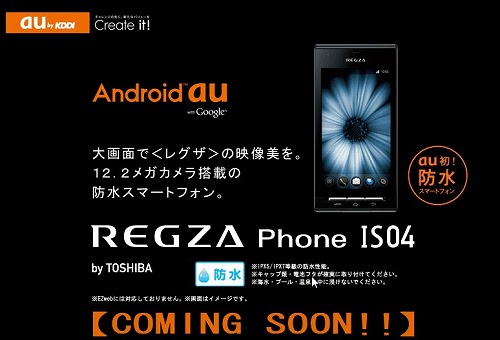 IS04a.jpg