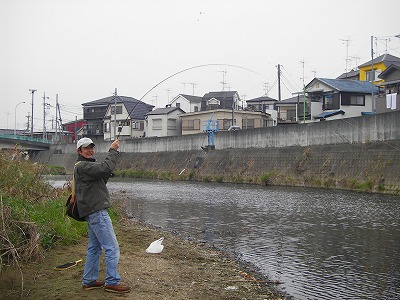 N-siki-koi1.jpg