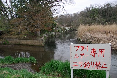 Noshino10504.jpg