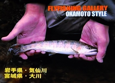OKS0407.jpg