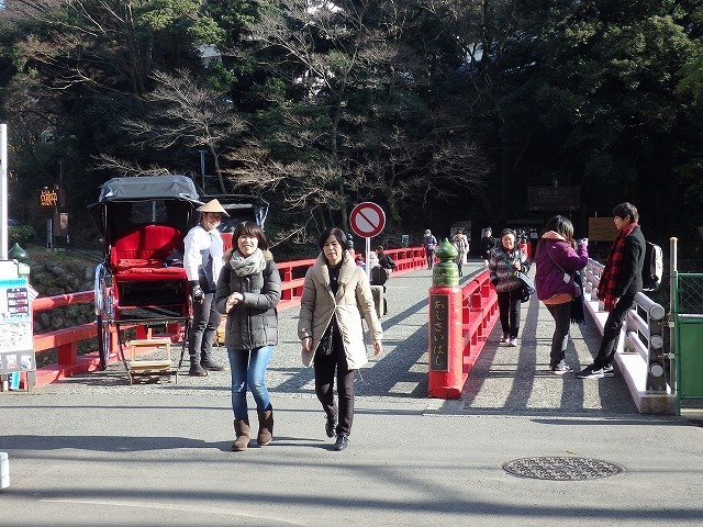 P2060271.jpg