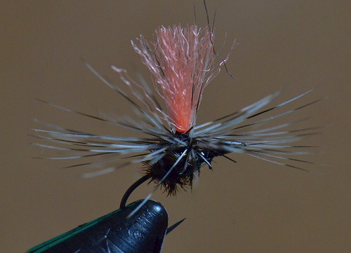 R17-c.jpg