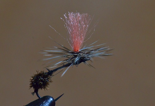 R17-f.jpg
