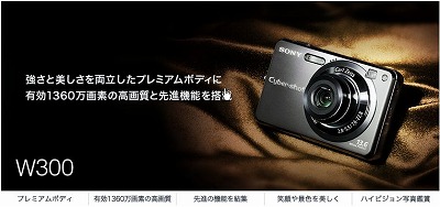 W300a.jpg
