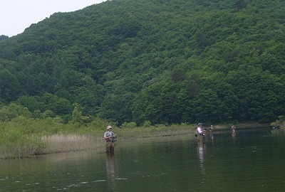 aftersc0624.jpg