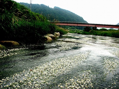 akazura0709.jpg