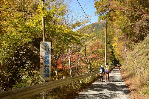 arakawa1104a.jpg