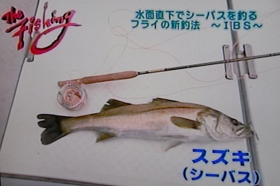 banngumi1001.jpg