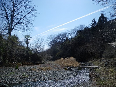chichibu0329a.jpg