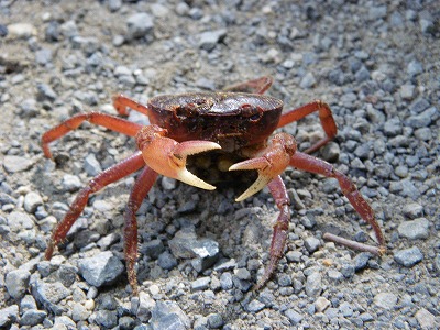 chichibu0914b.jpg