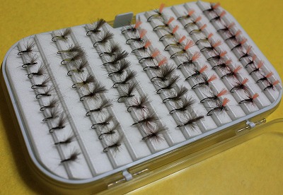 chiku0426e.jpg
