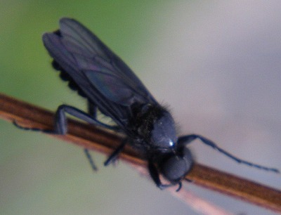 chiku0505c.jpg