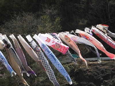 chikukoi0503.jpg