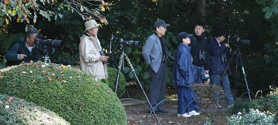 dejisuco1118.jpg