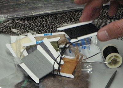 earo0129.jpg