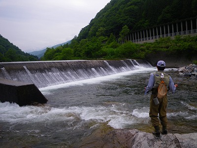 fuji0612y.jpg