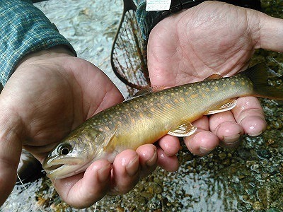 fuu0701c.jpg