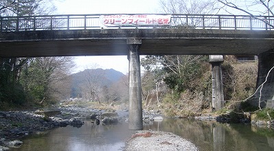 gfn0323b.jpg