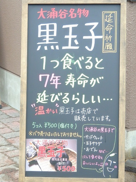 hako0207e.jpg
