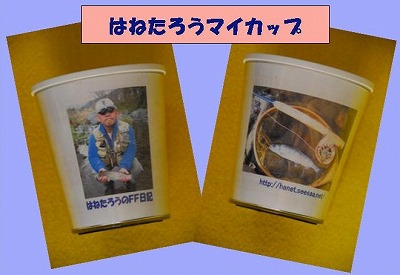 hanecap0407a.jpg