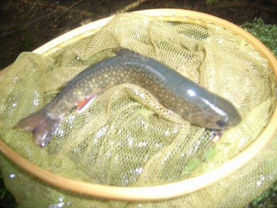 henoji0728.jpg