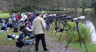 hidaka1023g.jpg