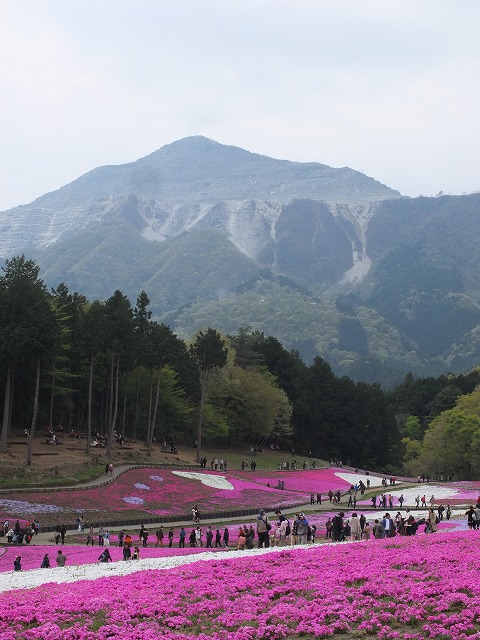 hitu0420g.jpg