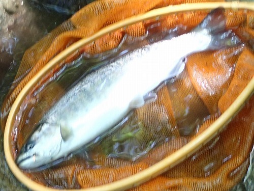 imo0701c.jpg