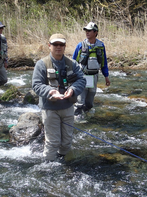 iri0413i.jpg