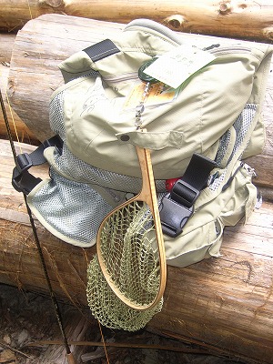 iri0812b.jpg