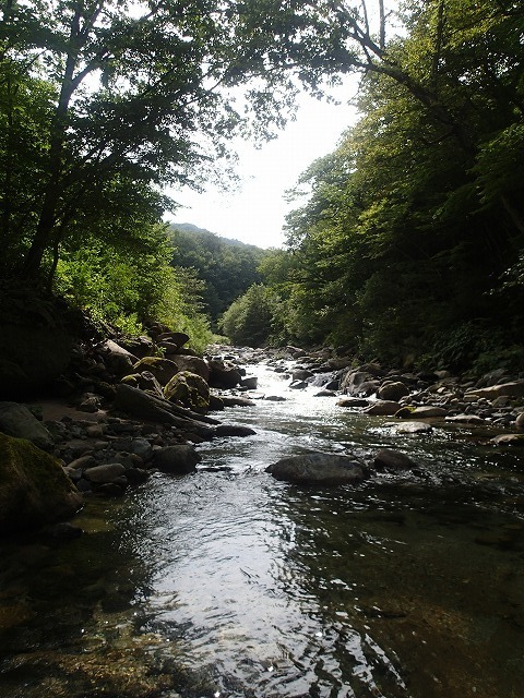 iwa0820f.jpg