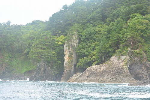 iwa0822d.jpg