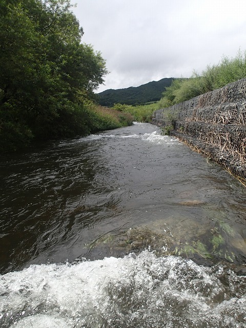 iwa0823a.jpg