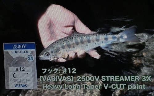 iwai0124c1.JPG