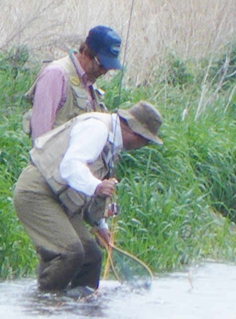 iwai0522a.jpg