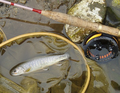 iwisc0510c.jpg