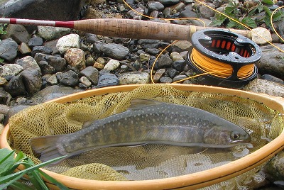 iwisc0510d.jpg