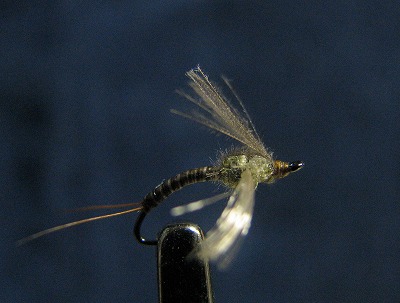 iwit1103d.jpg