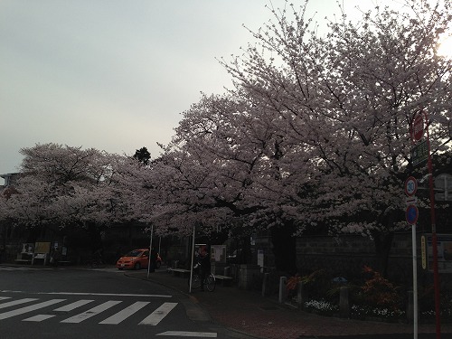 jiyu0326a.jpg